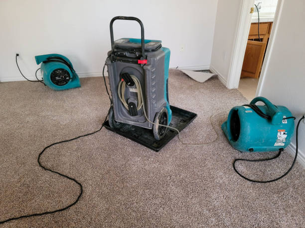 Best Water damage cleanup near me  in Westmont, IL