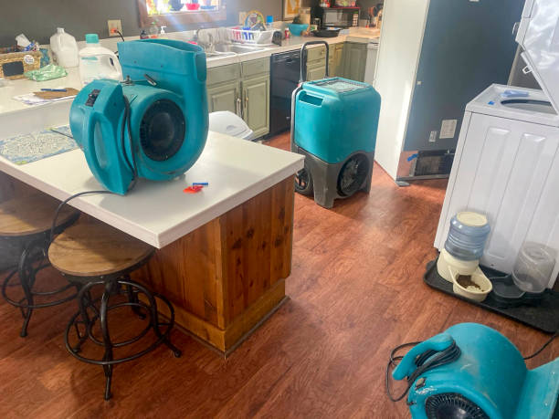 Westmont, IL Water damage restoration Company
