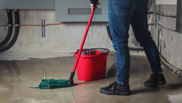 Sewage cleanup and water damage restoration in Westmont, IL