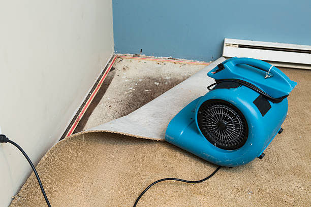 Best Commercial water damage restoration  in Westmont, IL